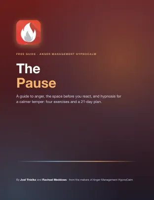 Cover of The Pause